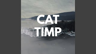 Cat Timp [upl. by Nyret]