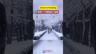 Snow in Nanjingchina [upl. by Carmita]