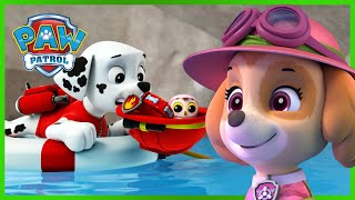 Over 1 Hour of Skye and Marshall Rescues ☁️🔥 PAW Patrol  Cartoons for Kids Compilation [upl. by Alul]