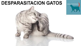 Desparasitación interna y externa en gatos [upl. by Jade785]