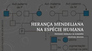 Herança mendeliana na espécie humana [upl. by Yesdnyl954]