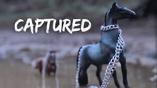 Schleich horse movie  THE NETWORK  S1 Episode 3  ‘Captured’ [upl. by Atiroc904]