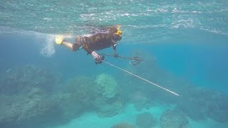 Spearfishing in Maui [upl. by Eirellav]