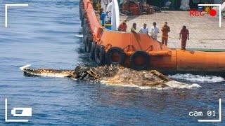 Man Films Fishing Boat – If This Was Not Filmed No One Would Have Believed Him [upl. by Galan]