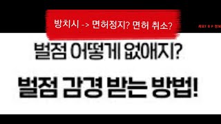 교통법규 위반시에 이것을 해야 보험료 할증되지 않는다 범칙금과과태료의 차이점과 벌점을 없애는 방법을 알려드립니다 [upl. by Rosane]