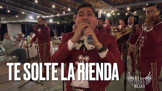 Te Solté la Rienda  Mariachi Alas De Mexico [upl. by Nasia376]