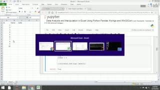 Data Analysis and Manipulation in Excel Using Python Win32COM Pandas and XlWings Part 3 [upl. by Fauman434]