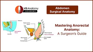 Mastering Anorectal Anatomy A Surgeon’s Guide [upl. by Gerald]