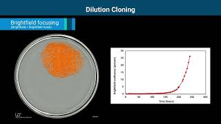 Dilution Cloning by RealTime Cell Analysis with xCELLigence RTCA eSight [upl. by Meehyr]