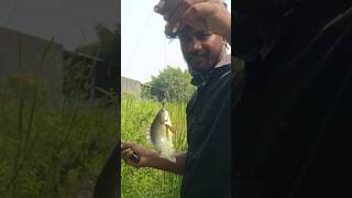 గాళం తో కొత్త రకం చేపలు పట్టము 🐟🐟 🐠🤠 trending viralvideo share [upl. by Whitelaw]