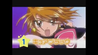 Precure DX History  Animax プリキュアDX番宣のアニマックス [upl. by Uile89]