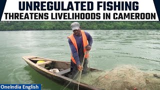 Cameroonian Fishers Decry Chinese Trawlers Overfishing Under Local Flags Ignoring Regulations [upl. by Mika431]