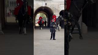 Best horsesroyalhorseguard horse tourist london viralvideo royalguards shorts [upl. by Ennovahc]