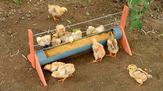 Turn old PVC pipe into amazing chicken feeder [upl. by Rainwater]