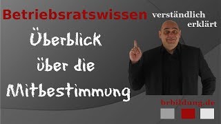 Mitbestimmung des Betriebsrates  Ein Überblick [upl. by Korenblat]