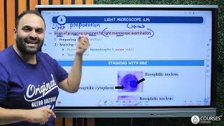 Rapid Revision Histology Practical 1 الدفعه 63 [upl. by Tlevesor]