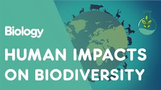 Human Impacts on Biodiversity  Ecology and Environment  Biology  FuseSchool [upl. by Booth279]