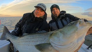 Biggest Striped Bass I’ve Ever Seen [upl. by Gradeigh221]