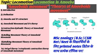 Amoeboid movement  Locomotion in Amoeba  Amoeboids movement theroy  Locomotion [upl. by Etezzil]