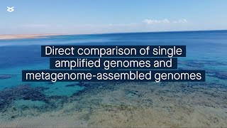 Strengths and weaknesses of the most common genome recovery approaches in environmental microbiology [upl. by Kehr951]