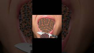 maggots asmr  dog asmr  asmr tick removal aniamtion  satisfying video tick removal dogticks [upl. by Debor]