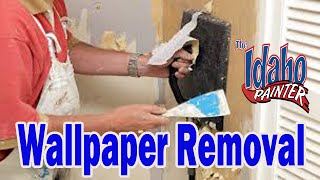 How to remove wall paper from drywall Wallpaper rremoving hacks [upl. by Lamont927]