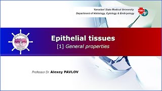 03 General histology Epithelial tissues general properties [upl. by Oinotnaocram]