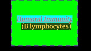 HUMORAL IMMUNITY B LYMPHOCYTES [upl. by Zeeba]