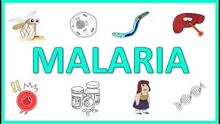 Malaria  Causes Pathogenesis Signs and Symptoms Diagnosis Treatment and Prevention [upl. by Acile489]