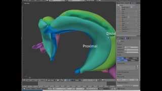 The hippocampal formation a short overview [upl. by Obel]