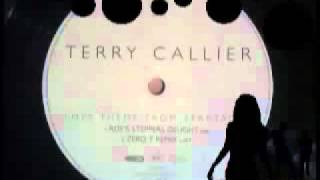 Terry Callier  Love Theme From Spartacus [upl. by Tumer]