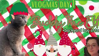 Dek vlogmas Day one Buddy The elf and bug attacks [upl. by Mixam]