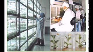 Advantages and disadvantages of tissue culture [upl. by Hanan]