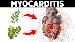 The Best Remedies for Myocarditis [upl. by Meredithe]