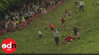 Absolutely mad Gloucestershire Cheese Rolling Race won by fearless local [upl. by Suvart]