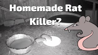 Homemade Rat killer [upl. by Einned989]