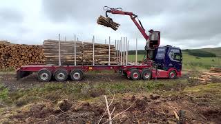 Timber Haulage  Scania V8 R660Loglift 108s loading 3m spruce in the Scottish Borders [upl. by Adalard]