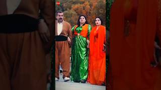 halparke kurdishdance dance [upl. by Gladis]