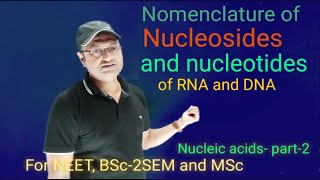 Nomenclature of nucleosides and nucleotides of RNA and DNA [upl. by Munmro]