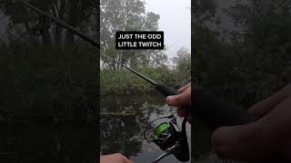 How to Dropshot  Perch Fishing perchfishing lurefishing perchfishinguk fishing [upl. by Llerej]