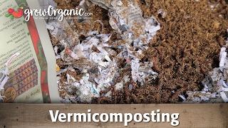 What is Vermicomposting and How To Use It In Your Garden [upl. by Ahserb258]