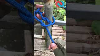 Turn Noose knot into the King of Knots knotshortchannel [upl. by Todhunter]