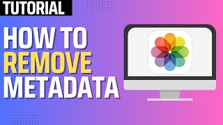 How To Remove Metadata From Photos Step By Step [upl. by Aivart]