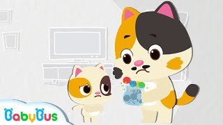 Baby Kitten Wanna Candy  Color Song for Kids  Preparation for Kindergarten  BabyBus [upl. by Coray]