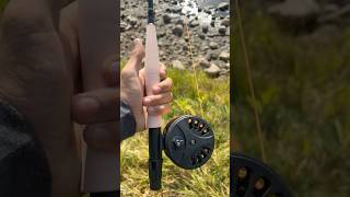 GOT MY FIRST FLY ROD🙏IS BEGINNERS LUCK A THING👀 fishing bass trout carp flyfishing colorado [upl. by Bellis]