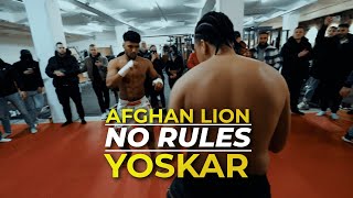 NO RULEZ  AFGHAN LION vs YOSKAR  REVOLUTION [upl. by Kaia]