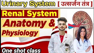 renal system kidney  Anatomy physiology kidney nephron renalsystem scienceclub educationneet [upl. by Frechette31]