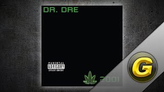 Dr Dre  The Watcher feat Knocturnal amp Eminem [upl. by Ty]