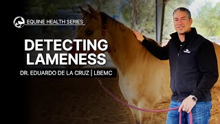 Detecting Lameness in Your Horse [upl. by Gunn186]