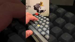 Akko Penguin Silent Tactile Switches  Sound Test akko keychron [upl. by Verla]